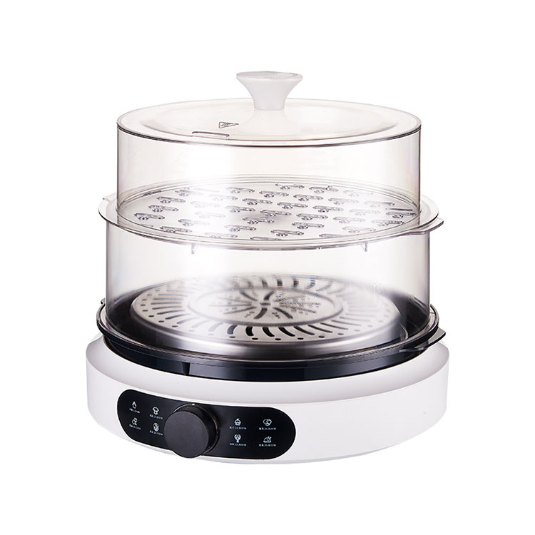 Multi-function Electric Steamer 