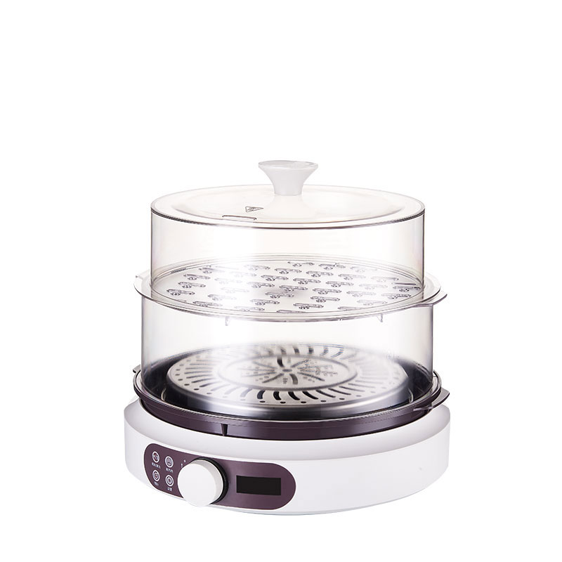  Multi-function Electric Steamer