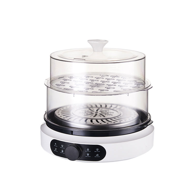 Multi-function Electric Steamer
